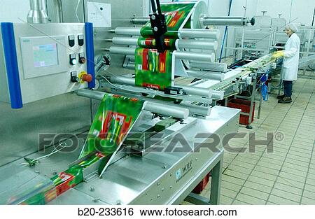Frozen food industry, packing line. Navarre. Spain View Large Photo Image Stock Photograph - Frozen food industry, packing line. Navarre. Spain. Fotosearch
