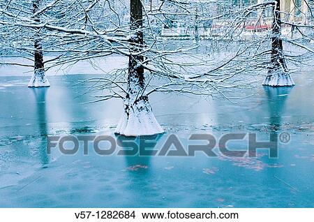 Frozen over pond, Cristal Palace. The Retiro park, Madrid, Spain. View Large Photo Image Picture - Frozen over pond, Cristal Palace. The Retiro park, Madrid, Spain.. Fotosearch