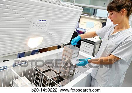 Frozen samples storage at -20? C, Tissue engineering lab, Oncology and Regenerative Medicine Research, Biodonostia Health and Biomedicine Research Institute, San Sebastian, Donostia, Gipuzkoa, Euskadi, Spain View Large Photo Image Stock Image - Frozen samples storage at -20? C, Tissue engineering lab, Oncology and Regenerative Medicine Research, Biodonostia Health and Biomedicine Research Institute, San Sebastian, Donostia, Gipuzkoa, Euskadi, Spain. Fotosearch