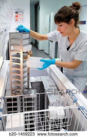Stock Image - Frozen samples storage at -20? C, Tissue engineering lab, Oncology and Regenerative Medicine Research, Biodonostia Health and Biomedicine Research Institute, San Sebastian, Donostia, Gipuzkoa, Euskadi, Spain. Fotosearch