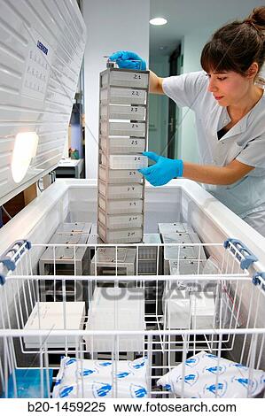 Frozen samples storage at -20? C, Tissue engineering lab, Oncology and Regenerative Medicine Research, Biodonostia Health and Biomedicine Research Institute, San Sebastian, Donostia, Gipuzkoa, Euskadi, Spain View Large Photo Image Stock Photography - Frozen samples storage at -20? C, Tissue engineering lab, Oncology and Regenerative Medicine Research, Biodonostia Health and Biomedicine Research Institute, San Sebastian, Donostia, Gipuzkoa, Euskadi, Spain. Fotosearch