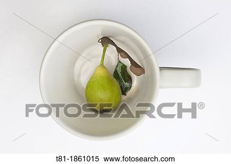 fruit cup View Large Photo Image Stock Photography - fruit cup. Fotosearch