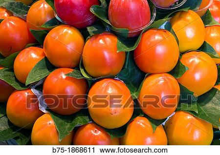 fruit, group persimmons View Large Photo Image Stock Image - fruit, group persimmons. Fotosearch