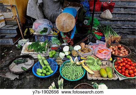 fruits vendor in Hoi An market, Vietnam, South East Asia, Asia View Large Photo Image Stock Photograph - fruits vendor in Hoi An market, Vietnam, South East Asia, Asia. Fotosearch