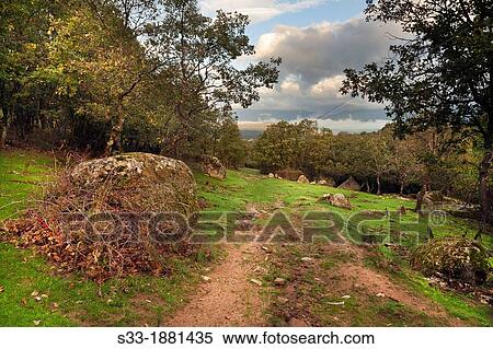 Fuente Fr? a road in Higuera de las Dueas? vila Castilla Le? n Spain View Large Photo Image Stock Photography - Fuente Fr? a road in Higuera de las Dueas? vila Castilla Le? n Spain. Fotosearch