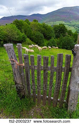 Fuentes del Narcea, Degaa e Ibias Natural Park, Asturias, Spain, Europe View Large Photo Image Stock Photo - Fuentes del Narcea, Degaa e Ibias Natural Park, Asturias, Spain, Europe. Fotosearch