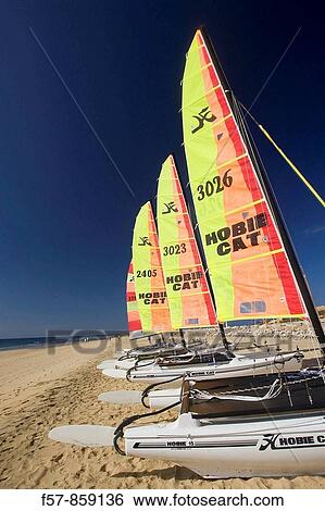 Fuerteventura, Canary Islands, Spain View Large Photo Image Stock Photograph - Fuerteventura, Canary Islands, Spain. Fotosearch