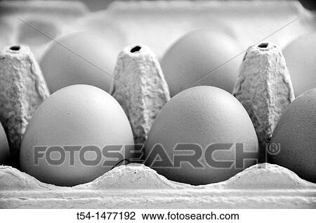 Stock Image - Full egg carton. Fotosearch