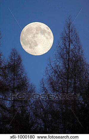 Full Moon, rising above forest in winter, Germany View Large Photo Image Stock Image - Full Moon, rising above forest in winter, Germany. Fotosearch