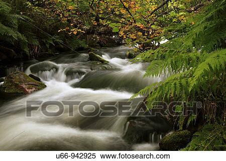 Fulufj? llet National Park, Dalarna, Sweden View Large Photo Image Stock Photography - Fulufj? llet National Park, Dalarna, Sweden. Fotosearch