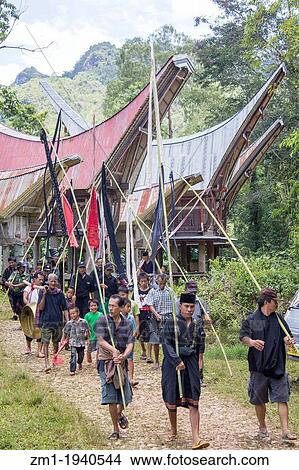 funeral ceremony in tana toraja, sulawesi, indonesia. View Large Photo Image Picture - funeral ceremony in tana toraja, sulawesi, indonesia.. Fotosearch