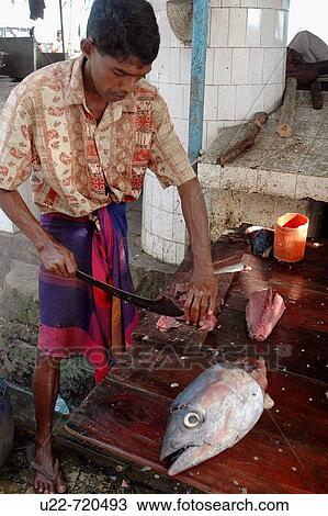 Stock Image - Galle Sri Lanka: tuna fish cut and sold at the fish market. Fotosearch