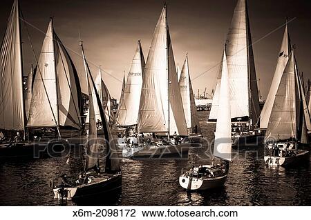 Gallo boat race. Mouth of Nervion river. Portugalete, Biscay, Basque Country, Spain. View Large Photo Image Stock Image - Gallo boat race. Mouth of Nervion river. Portugalete, Biscay, Basque Country, Spain.. Fotosearch