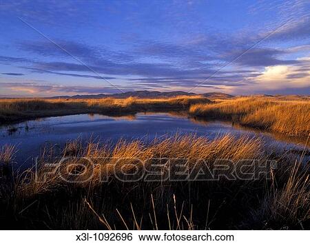 Gallocanta Lagoon Teruel Aragon Spain View Large Photo Image Stock Photograph - Gallocanta Lagoon Teruel Aragon Spain. Fotosearch
