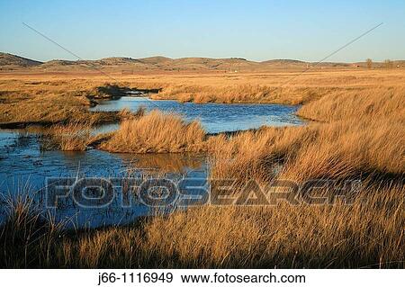 Gallocanta Wildlife Refuge, Zaragoza province, Aragon, Spain View Large Photo Image Stock Photo - Gallocanta Wildlife Refuge, Zaragoza province, Aragon, Spain. Fotosearch