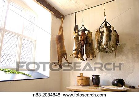 Game hanging at Plas Mawr medieval house, Conwy, Gwynedd, Wales, UK. View Large Photo Image Stock Photography - Game hanging at Plas Mawr medieval house, Conwy, Gwynedd, Wales, UK.. Fotosearch