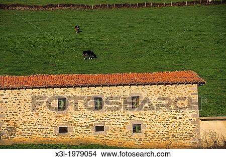 Picture - Gandara-Ason. Cantabria. Spain. Fotosearch