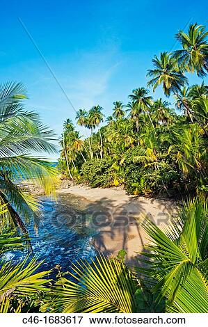 Gandoca Manzanillo Wildlife Refuge, Near Puerto Viejo, Caribbean coast, Costa Rica. View Large Photo Image Stock Photo - Gandoca Manzanillo Wildlife Refuge, Near Puerto Viejo, Caribbean coast, Costa Rica.. Fotosearch