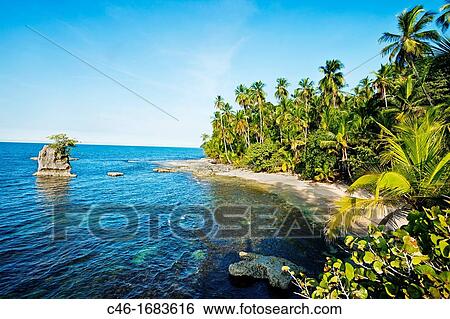 Gandoca Manzanillo Wildlife Refuge, Near Puerto Viejo, Caribbean coast, Costa Rica. View Large Photo Image Stock Photograph - Gandoca Manzanillo Wildlife Refuge, Near Puerto Viejo, Caribbean coast, Costa Rica.. Fotosearch