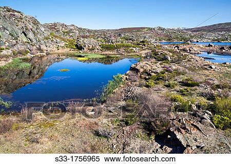 Garandones reservoir in the Sanabria Natural Park RibadelagoZamora Castilla Le? n Spain View Large Photo Image Stock Photography - Garandones reservoir in the Sanabria Natural Park RibadelagoZamora Castilla Le? n Spain. Fotosearch