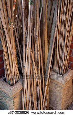 Garden canes The Old Vicarage Garden East Ruston Norfolk. View Large Photo Image Stock Photograph - Garden canes The Old Vicarage Garden East Ruston Norfolk.. Fotosearch