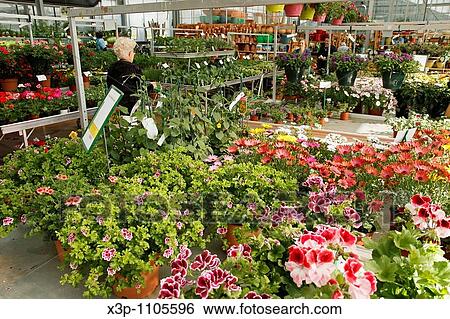 Stock Photograph - Garden Center Luchon France. Fotosearch
