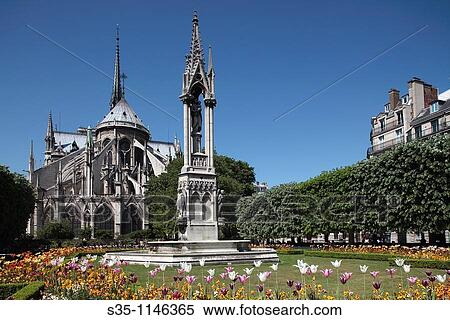 Garden of Le Square Jean XXIII with Notre Dame Cathedral in the background, Paris,? le-de-France, France View Large Photo Image Stock Photography - Garden of Le Square Jean XXIII with Notre Dame Cathedral in the background, Paris,? le-de-France, France. Fotosearch