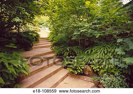 Garden starway, Vancouver. British Columbia, Canada View Large Photo Image Stock Photo - Garden starway, Vancouver. British Columbia, Canada. Fotosearch