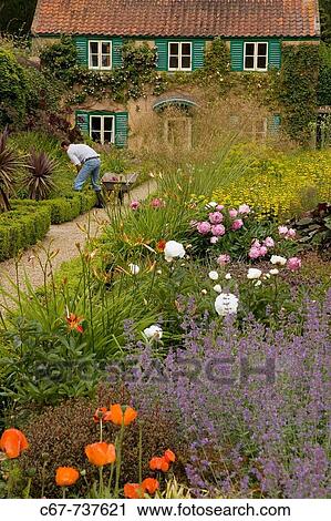 Gardener at work Spider Garden at Hoveton Hall Norfolk View Large Photo Image Stock Image - Gardener at work Spider Garden at Hoveton Hall Norfolk. Fotosearch