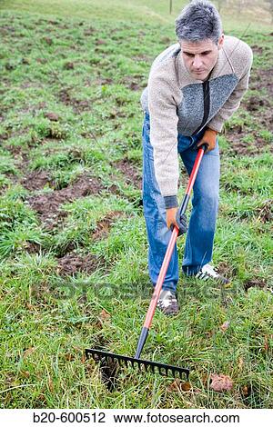 Gardener with rake. Agricultural works. Gipuzkoa, Euskadi. Spain. View Large Photo Image Stock Image - Gardener with rake. Agricultural works. Gipuzkoa, Euskadi. Spain.. Fotosearch