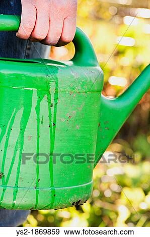 Gardening equipment, green plastic watering can in a garden at summertime View Large Photo Image Stock Photo - Gardening equipment, green plastic watering can in a garden at summertime. Fotosearch