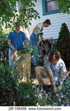 Stock Photo - Gardening. Fotosearch