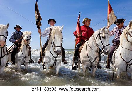 Gardians horsemen that works with bull of Camargue Blessing at sea Procession during annual gipsy pilgrimage at Les Saintes Maries de la Mer may, Camargue, Bouches du Rhone, France View Large Photo Image Stock Image - Gardians horsemen that works with bull of Camargue Blessing at sea Procession during annual gipsy pilgrimage at Les Saintes Maries de la Mer may, Camargue, Bouches du Rhone, France. Fotosearch