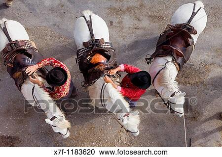 Stock Image - Gardians horsemen that works with bull of Camargue Les Saintes Maries de la Mer, Camargue, Bouches du Rhone, France. Fotosearch