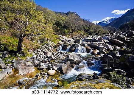 Garganta de Tejea, Sierra de Gredos, Avila province, Castilla-Leon, Spain View Large Photo Image Stock Image - Garganta de Tejea, Sierra de Gredos, Avila province, Castilla-Leon, Spain. Fotosearch