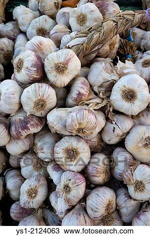 Garlic, allium savitum at Vegetable Market in Normandy. View Large Photo Image Stock Image - Garlic, allium savitum at Vegetable Market in Normandy.. Fotosearch