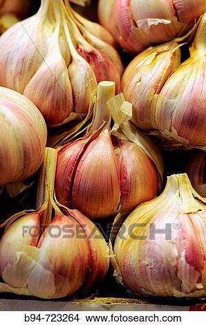 Garlic for sale at La Boqueria market, Barcelona. Catalonia, Spain View Large Photo Image Picture - Garlic for sale at La Boqueria market, Barcelona. Catalonia, Spain. Fotosearch