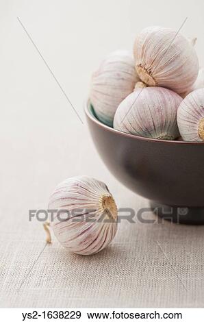 Garlic in a bowl View Large Photo Image Stock Photo - Garlic in a bowl. Fotosearch