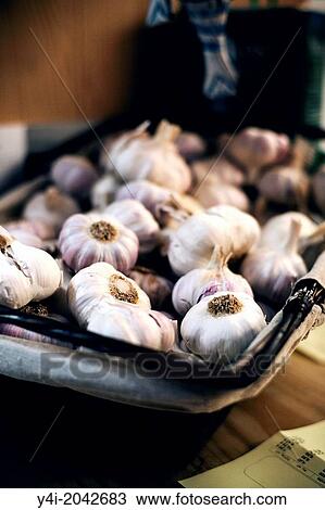 Stock Image - Garlic. Kuzina. The greedy street. Bordeaux. Gironde. Aquitaine. France. Europe.. Fotosearch