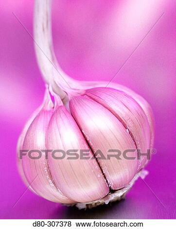 Garlic View Large Photo Image Stock Photo - Garlic. Fotosearch