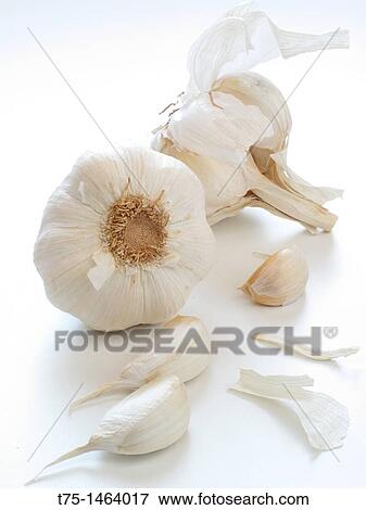 Garlic View Large Photo Image Stock Photo - Garlic. Fotosearch