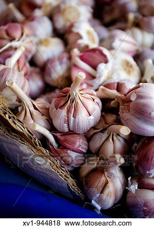 Stock Photo - Garlic. Fotosearch