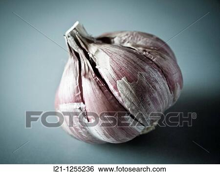 Garlic View Large Photo Image Stock Photograph - Garlic. Fotosearch