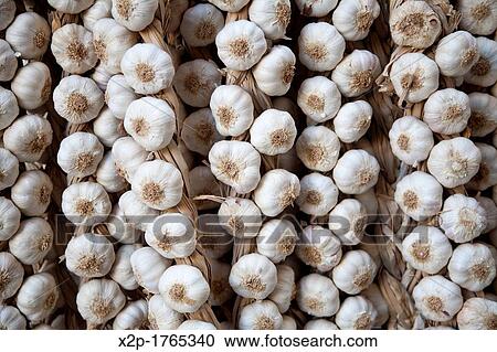 Garlics in Logrono, La Rioja, Spain View Large Photo Image Stock Image - Garlics in Logrono, La Rioja, Spain. Fotosearch