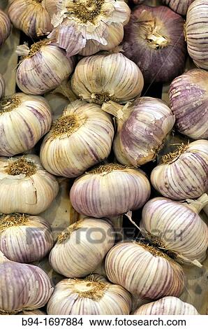 Picture - Garlics in the Alimentaria Food fair Hospitalet de Llobregat Barcelona Catalonia Spain. Fotosearch