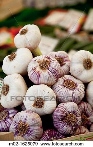 Garlics in the Viktualienmarkt, Munich, Germany View Large Photo Image Stock Photo - Garlics in the Viktualienmarkt, Munich, Germany. Fotosearch