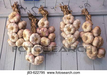 Stock Photography - Garlics. Sault, Provence, France. Fotosearch