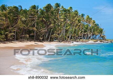 Garret Point, Little Corn Island, Corn Islands, Nicaragua View Large Photo Image Stock Image - Garret Point, Little Corn Island, Corn Islands, Nicaragua. Fotosearch