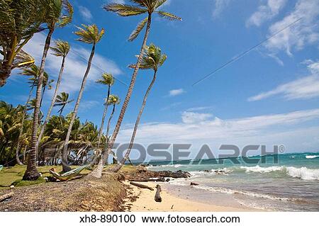 Stock Image - Garret Point, Little Corn Island, Corn Islands, Nicaragua. Fotosearch