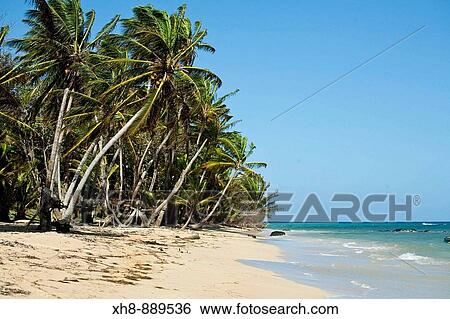 Garret Point, Little Corn Island, Corn Islands, Nicaragua View Large Photo Image Stock Photograph - Garret Point, Little Corn Island, Corn Islands, Nicaragua. Fotosearch